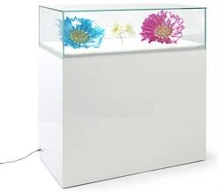 39"w Glass Display Case, LED Surface Light, Removable Top, Floor Standing - White