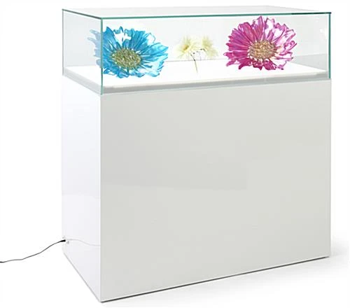 39"w Glass Display Case, LED Surface Light, Removable Top, Floor Standing - White 39"w Glass Display Case, LED Surface Light, Removable Top, Floor Standing - White -Displays2go Shop dcphzdc.rw preview