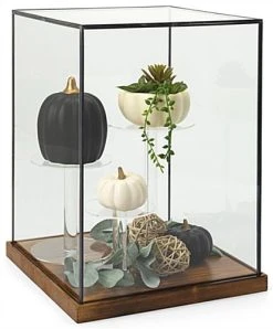 16.25" Countertop Display W/ Lift-Off Top, Black Copper Edging, Wooden Base - Clear