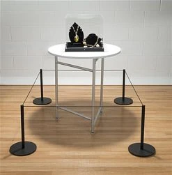 QueuePole Slim 50' Elastic Barrier Cord - Black -Displays2go Shop fgmsc50bk.renv preview