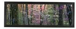 24 X 8 Panoramic Picture Frame For Wall Mount Use, 1-inch Profile - Black -Displays2go Shop pnfa2408.ra2 preview