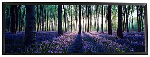 Black Panoramic Print Frame for 40" x 13-1/2" Pictures Black Panoramic Print Frame For 40" X 13-1/2" Pictures -Displays2go Shop pnfa40135.ra3 preview