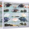 5x3 Wall Mounted LED Display Case W/Mirror Back, Sliding Doors, Locking - Silver